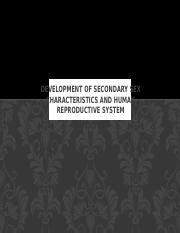 Uts B Pptx Development Of Secondary Sex Characteristics And Human Reproductive System