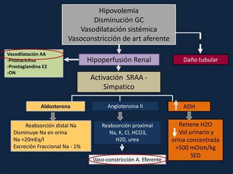 Injuria Renal Aguda Ppt