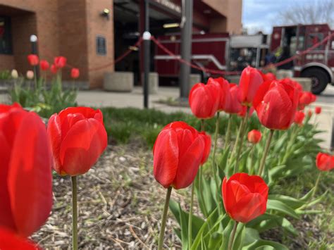 City of Madison Engineering - It's #SolarSunday, where each Sunday, we