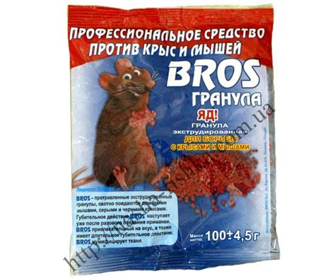 Средства для борьбы с грызунами: выбираем лучшие!