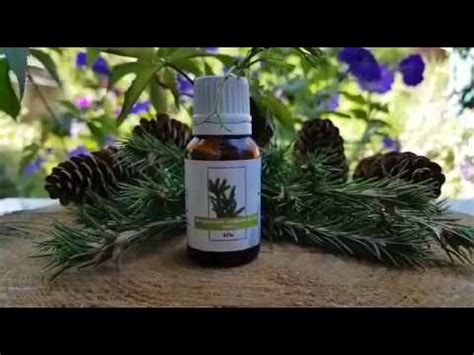 ЭФИРНОЕ МАСЛО ЕЛИ || Способствует скорейшему заживлению различных ран ...