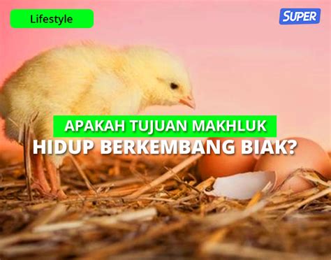 Jawaban Dari Apakah Tujuan Makhluk Hidup Berkembang Biak