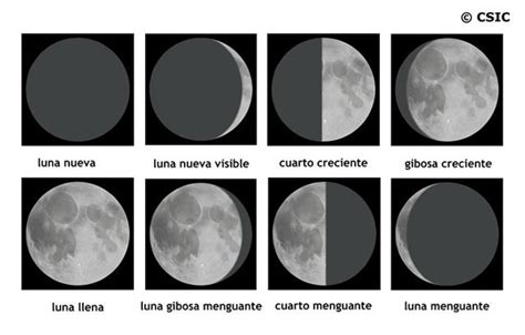 Las Fases De La Luna