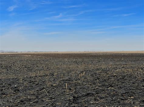 80 Acres In Bottineau Nd 58318