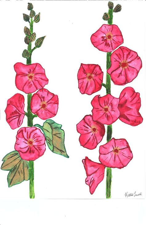 Original Watercolor Pink Hollyhock Flowers Etsy I 2024