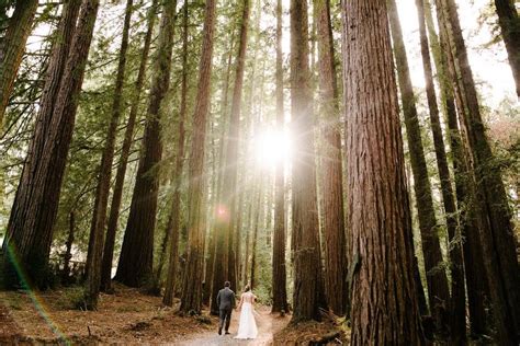 Nestldown Photographer Catholic Indian Wedding