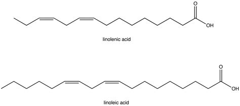 Essential Fatty Acid - Chemistry LibreTexts