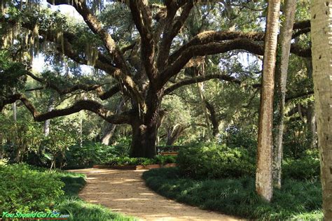 Washington Oaks Gardens Florida State Park Magnificent