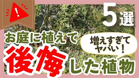 【増えすぎてやばい】お庭に植えて後悔した植物5つ！ガーデニング好きに聞いた植えてはいけない植物ランキングも！ Youtube