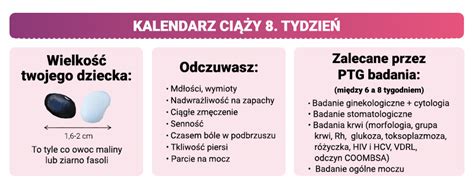 Tydzie Ci Y Kalendarz Ci Y Ci A Tydzie Po