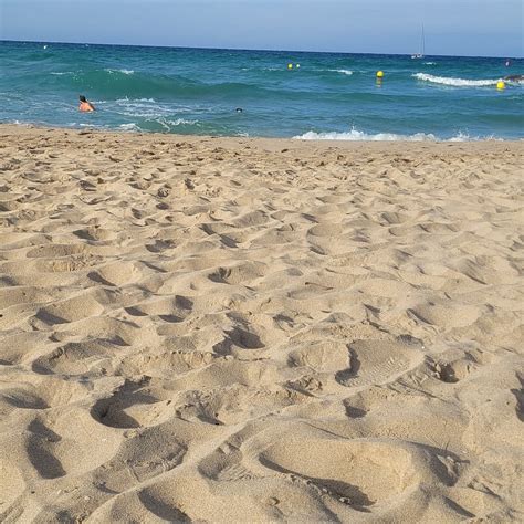Tui Blue Tarida Beach Reviews Photos