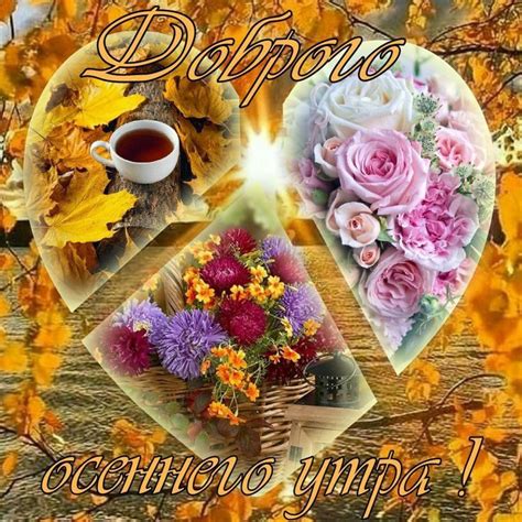 ДОБРОЕ УТРО! 🍁🍎🍂🏵🍂🍎🍁 ОСЕННЕЕ УТРЕЧКО! | Осень, Осенние картинки, Доброе ...