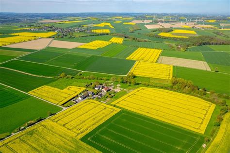 Luftbild Belecke Feld Landschaft Gelb Bl Hender Raps Bl Ten In