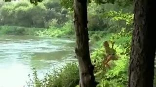 Ronnie Ancona British Celebrity Big Natural Tits Porn Xhamster