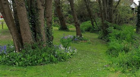 Walking Trails In Chichester Harbour Popular Hiking Routes In