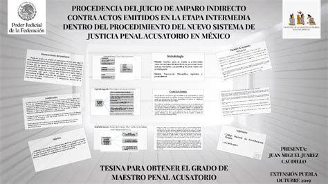 Procedencia Del Juicio De Amparo Indirecto Contra Actos Emit By Lili Balderas On Prezi