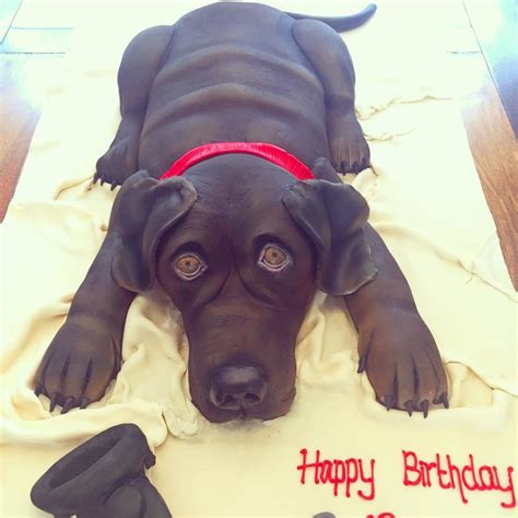 Realistic Animal And Sculptured Animal Cakes By Midland Cake Company