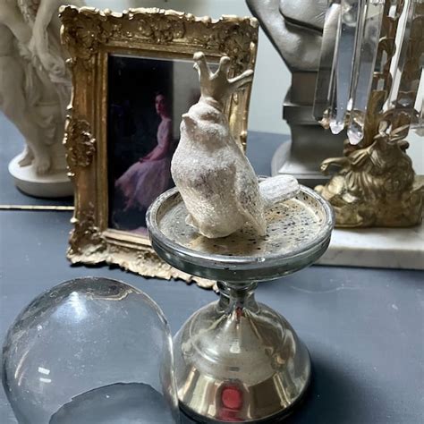 Glass Cloche Etsy