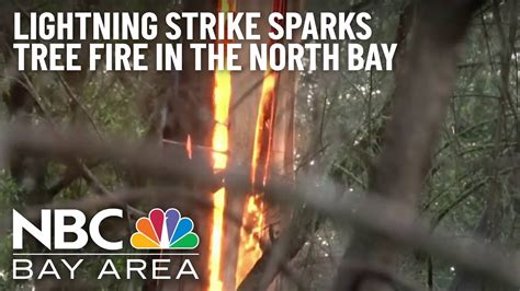 Lightning Strike Sparks Tree Fire In Sonoma County Hail Stops It From