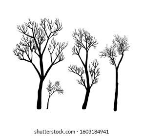 Naked Trees Silhouettes Set Hand Drawn Stock Vector Royalty Free Shutterstock