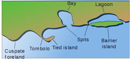 Barrier Island Formation & Examples | What is a Barrier Island? - Video & Lesson Transcript ...