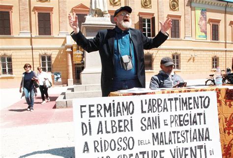 Piazza Bufalini Oltre Mille Firme Per Salvare Gli Alberi