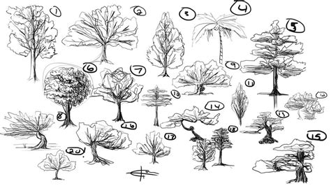 20 Tree Sketches By Elidcamacho On Deviantart
