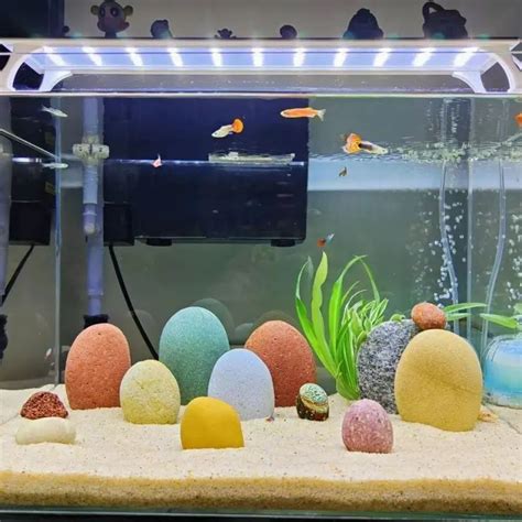 Amazing Gallon Fish Tank Decoration Ideas Pondon Aquaruim