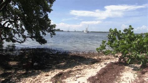 Hogtie Island The Naked Tie Part MP Fayth On Fire Fetish Films Clips Sale