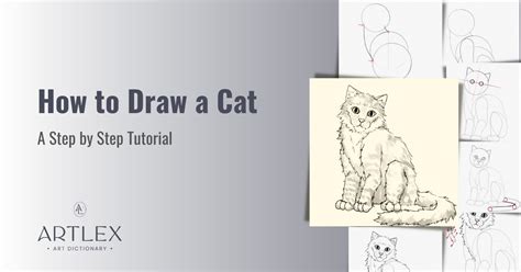 How To Draw A Realistic Cat Body