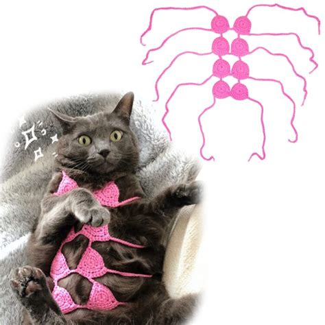 Hot Sexy Cat Rose Bikini Pics