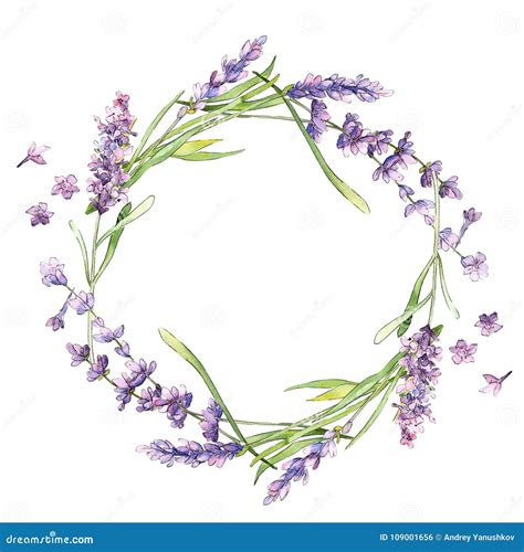 Corona Del Fiore Della Lavanda Del Wildflower In Uno Stile Dell