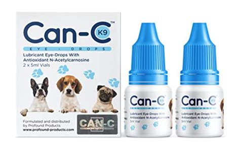 Best Eye Drops For Dog Cataracts In 2022