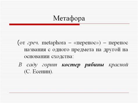 Что такое метафора? Функции и разновидности метафоры