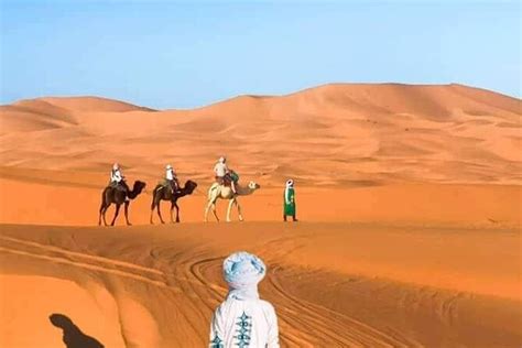 Overnight Stay In Desert Camp Erg Chebbi Merzouga Camel Ride