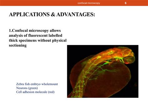 Confocal Microscopy Ppt