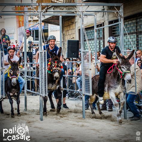 Il Palio Del Casale A Cicciano La Straordinaria Gara Mondiale Di Corsa