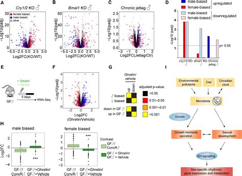 The Mouse Microbiome Is Required For Sex Specific Diurnal Rhythms Of Gene Expression And