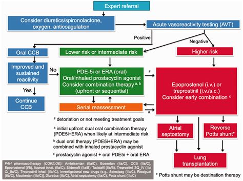 Whats New In Pulmonary Hypertension Clinical Research Lessons From