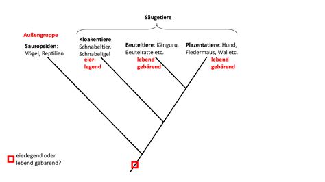 6 Evolution Biologie Unterricht Im Digitalen Zeitalter