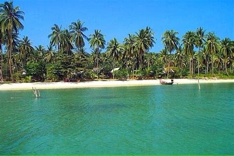 Pig Island ,Snorkeling, Private Long Tail Boat (Local Thai Experience)