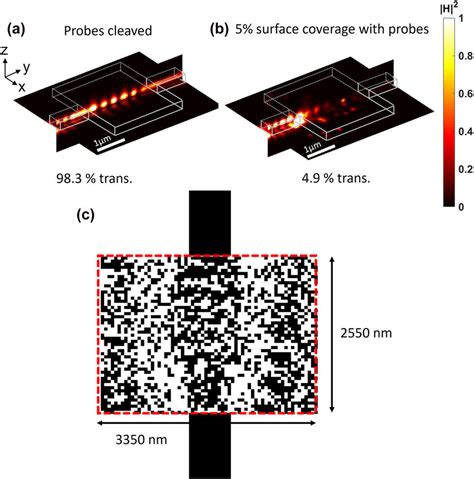 Inverse Designed Waveguide Based Biosensor Magnetic Field Intensity