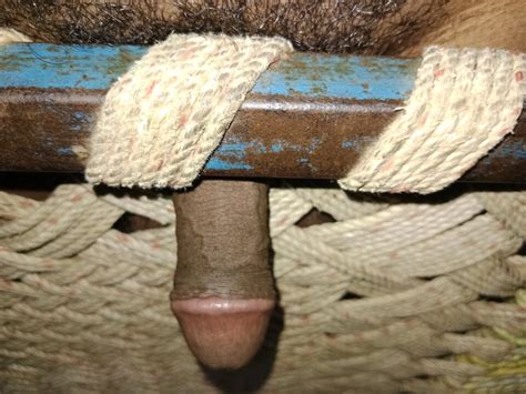 I Felt Like Licking And Fucking The Pussy My Cock Stood Up At Midnight To Fuck Gay Porn XHamster