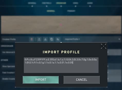 Guía Valorant Vagina Crosshair