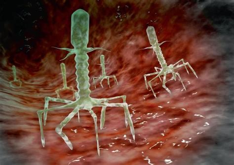 microbiome friendly phages join  campaign   antimicrobials
