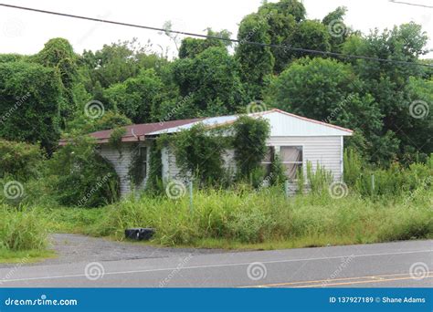 Abandoned Louisiana House Stock Image Image Of Culture 137927189