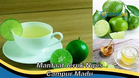 Bikin Penasaran Ketahui Manfaat Jeruk Nipis Campur Madu Yang Wajib