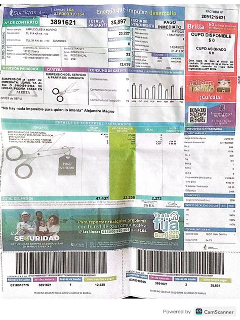 Cuenta de Servicios | PDF