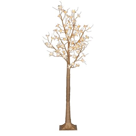 Are Magnolia Trees Safe For Dogs