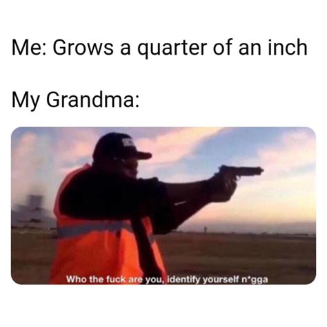 Me Grows A Quarter Of An Inch My Grandma Who The Fuck Are You Identify Yourself Nigga Funny
